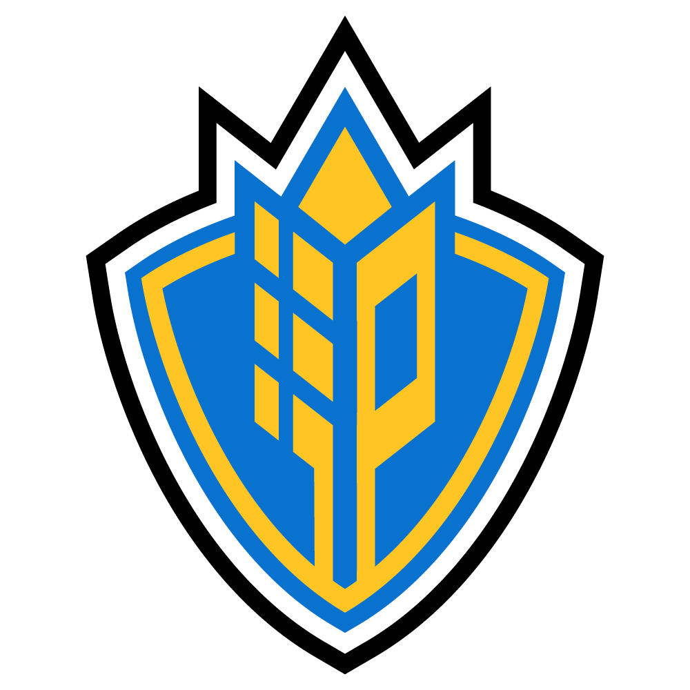 Colour Shield .png