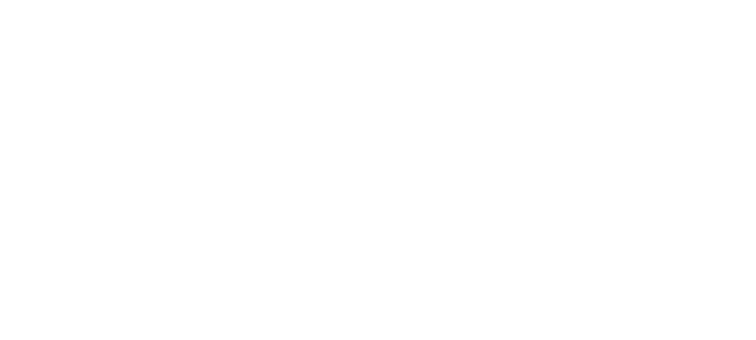 Park Place Port Richey