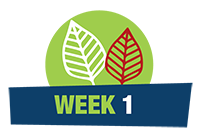 Week-01.png