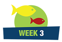 Week-03.png