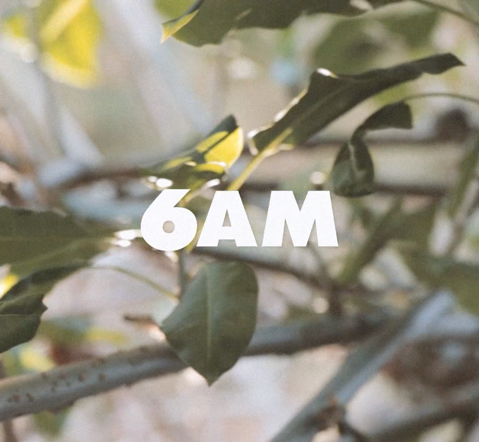 6AM Clothing at Los Angeles Fashion Week, 2017.