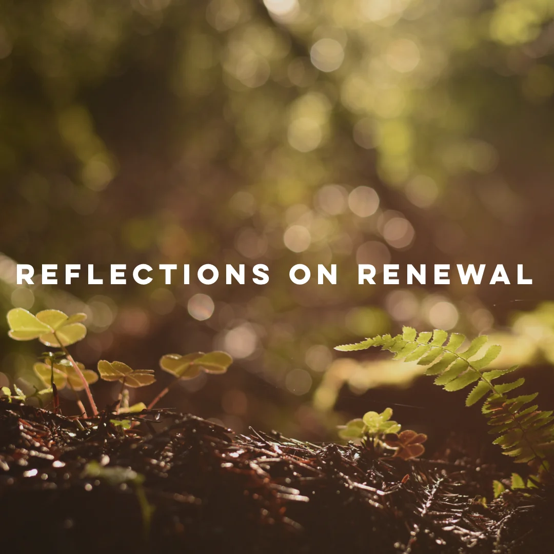 Reflections on Renewal