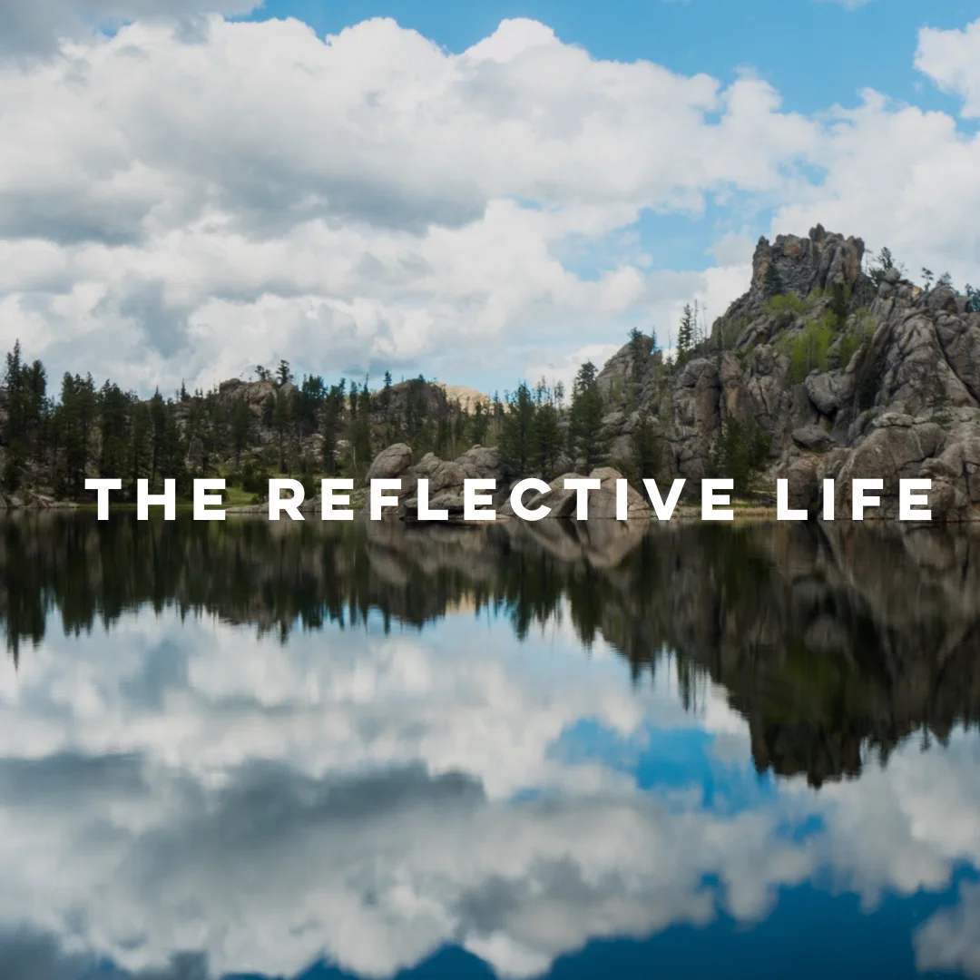The Reflective Life