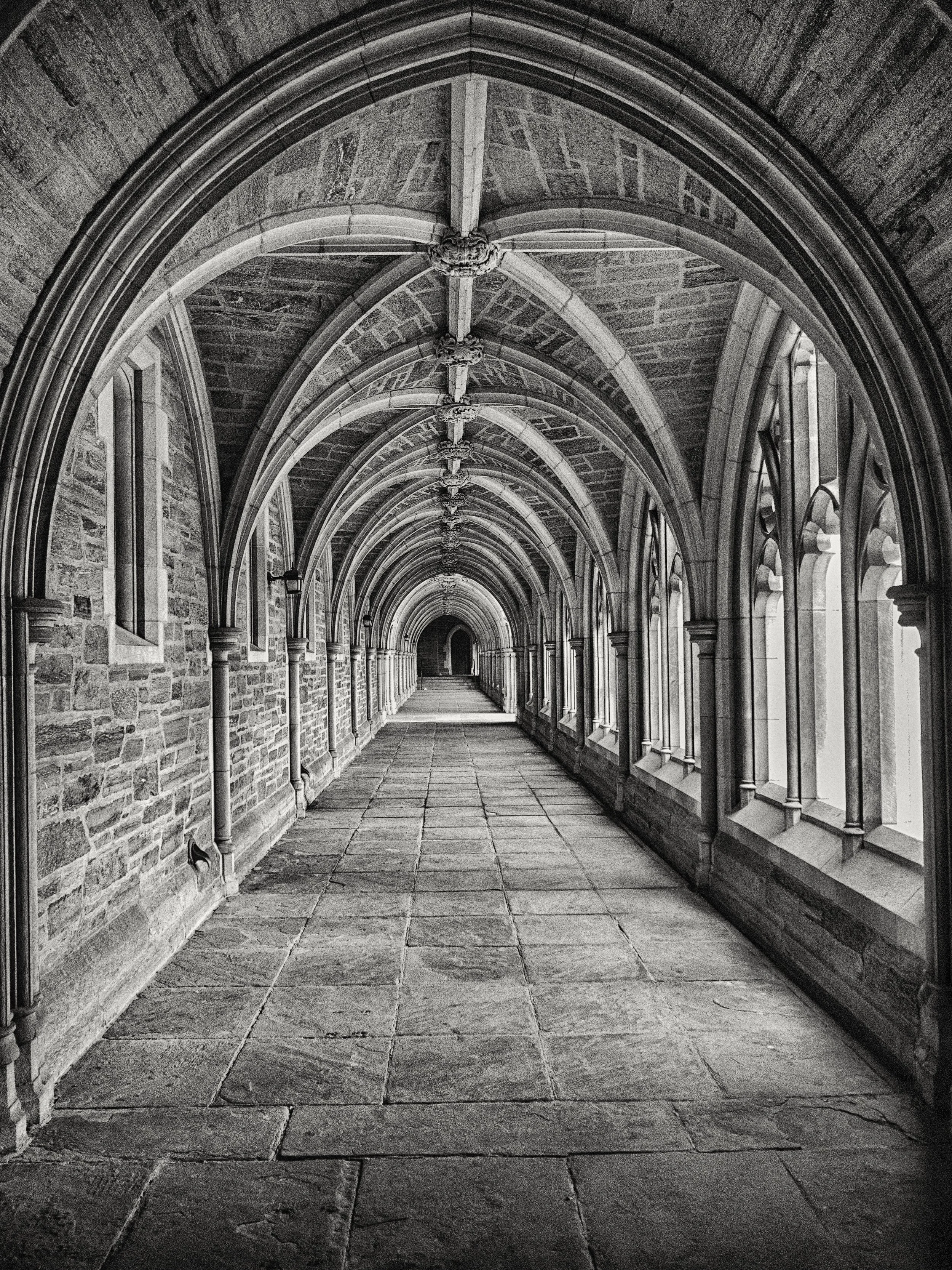 Introducing The Abbey