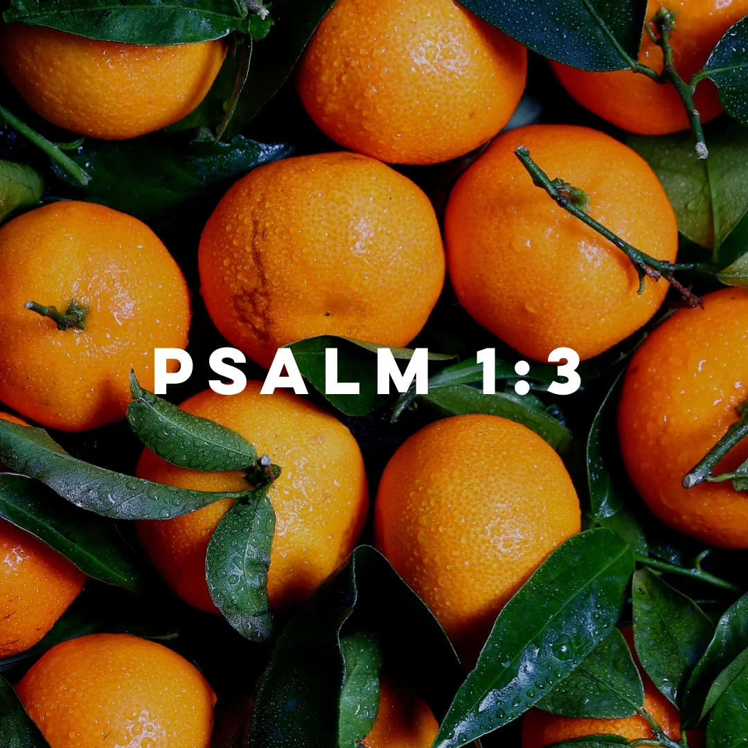 Psalm 1:3