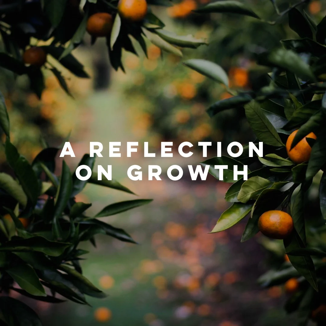Reflections on Growth