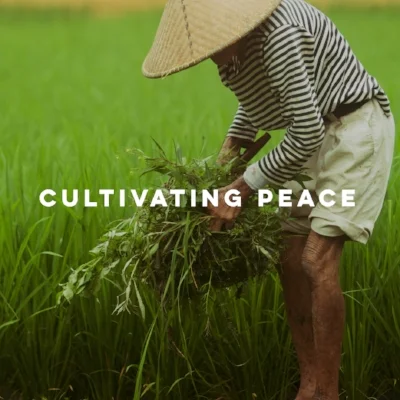 Cultivating Peace