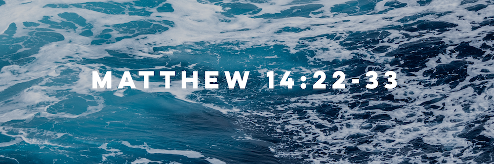 Matthew12.png
