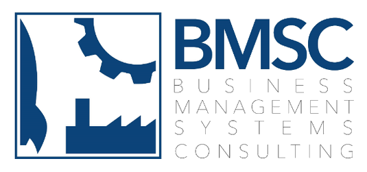 Business Management Systems Consulting