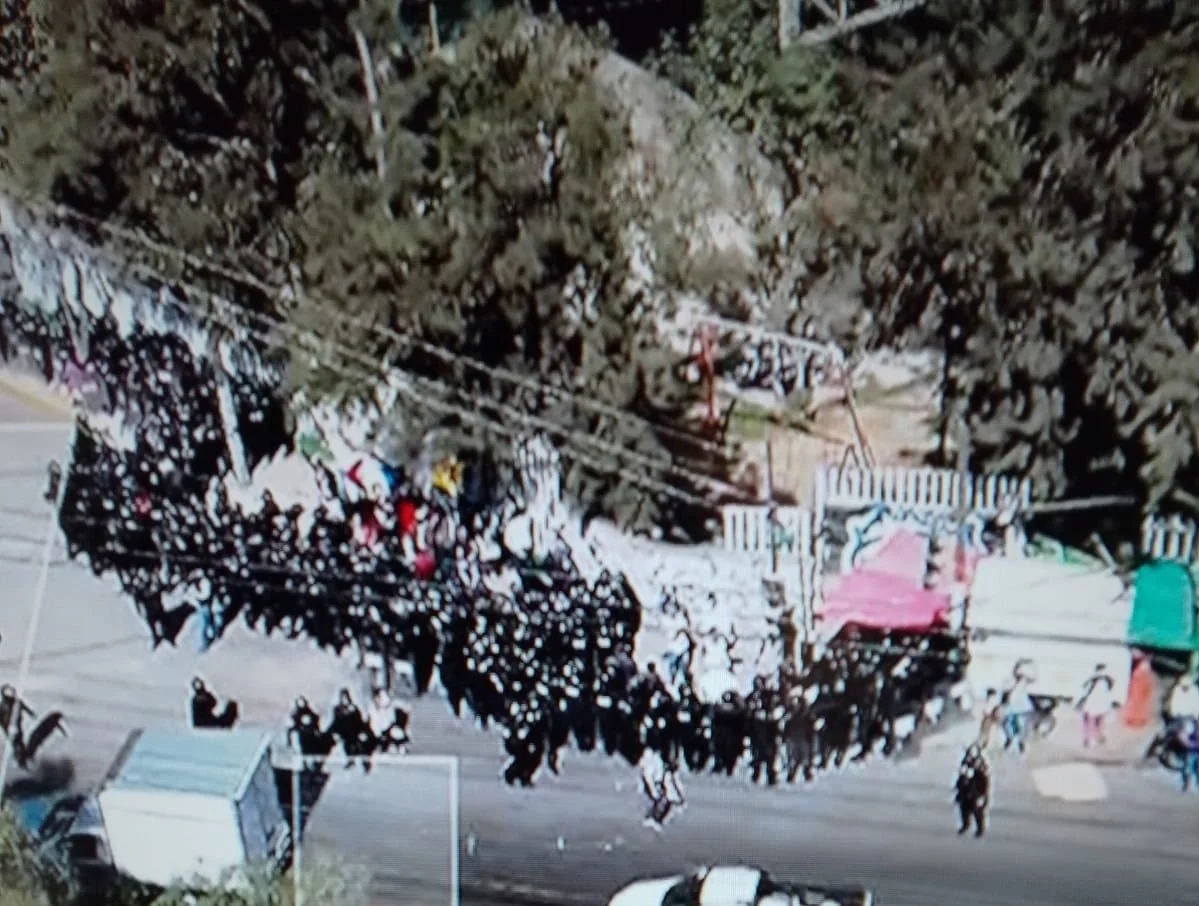 Fifis, Fifas y Fachos Fifis, Fifas y Fachos