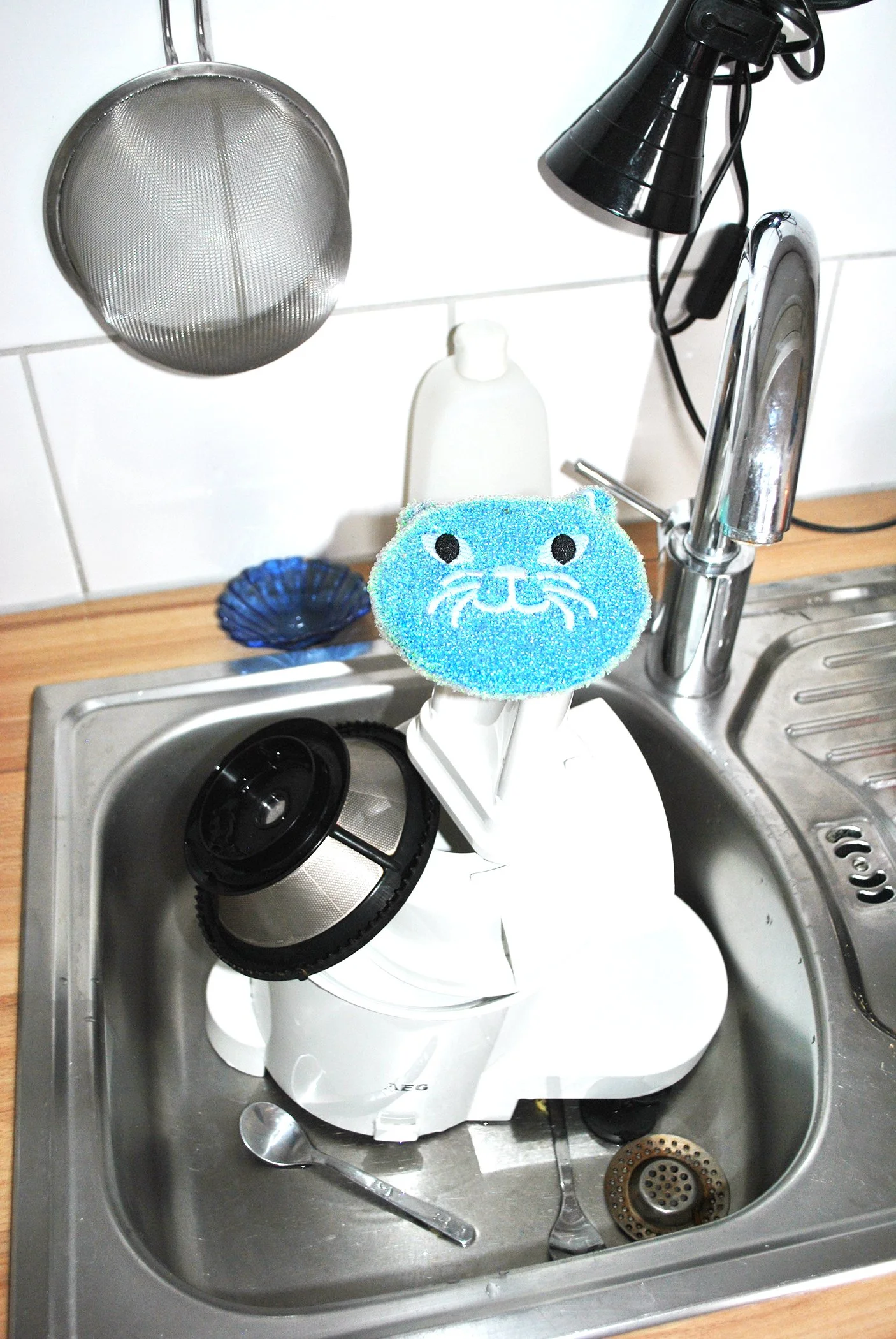 DSC_0066 Kopie.jpg