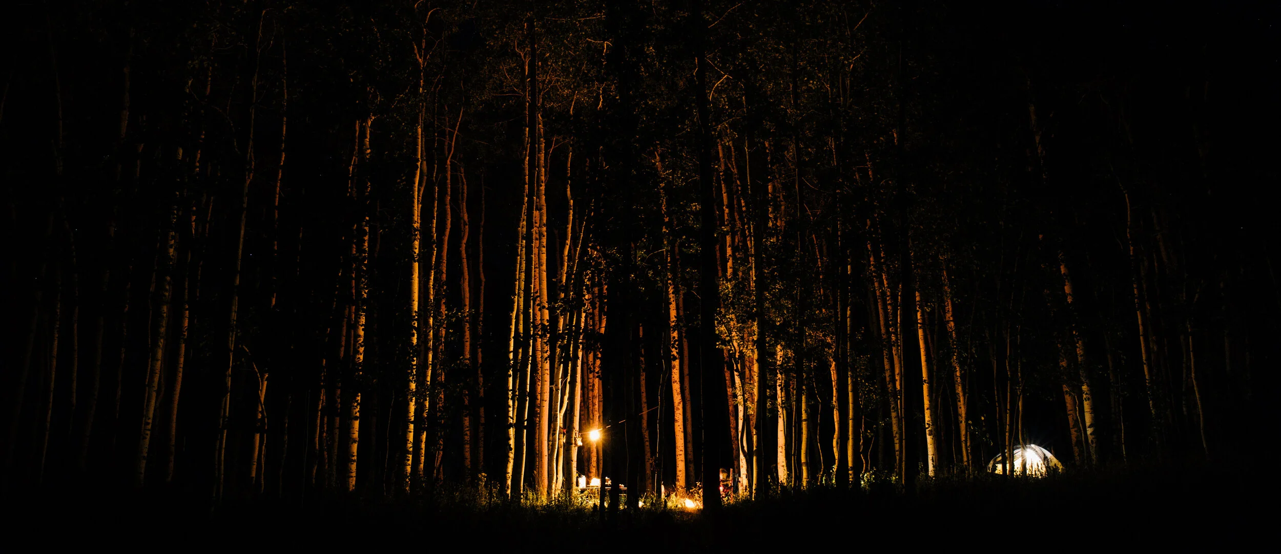 090119_SteamboatSpringsCamping_Tress&Stars_3430.jpg