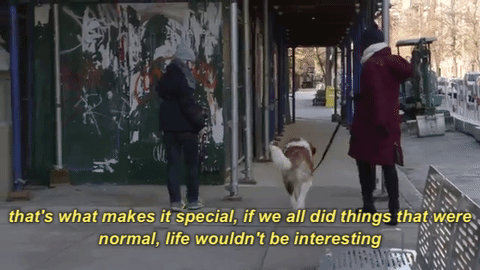 giphy-4.gif