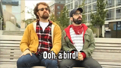 tumblr_n2gr8yw7ko1tq4caxo1_250.gif