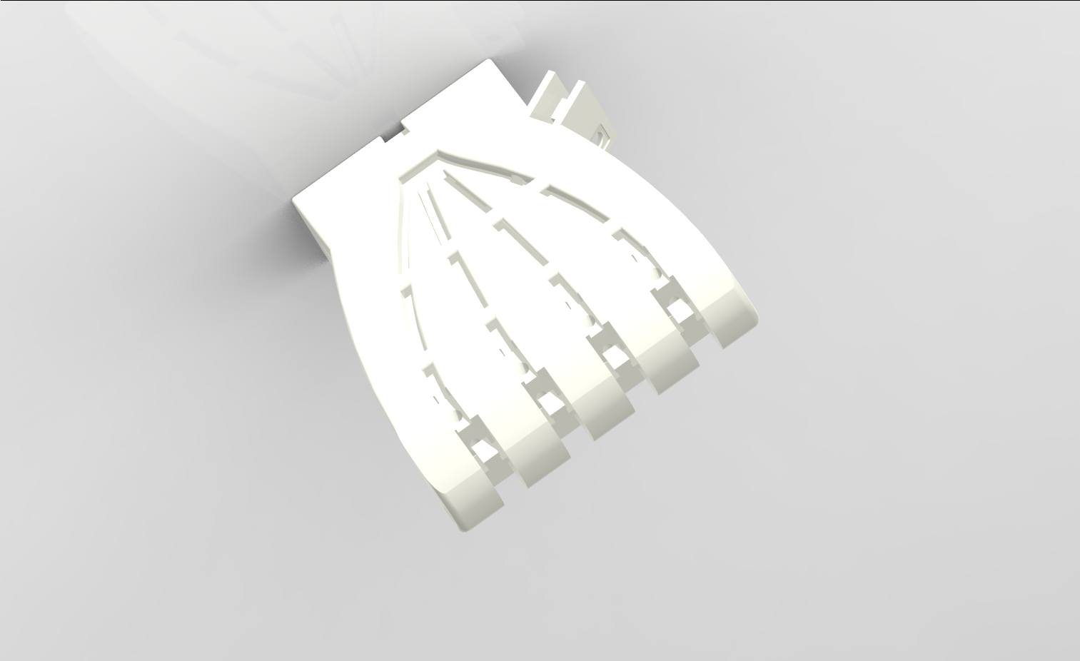 palm 1.png
