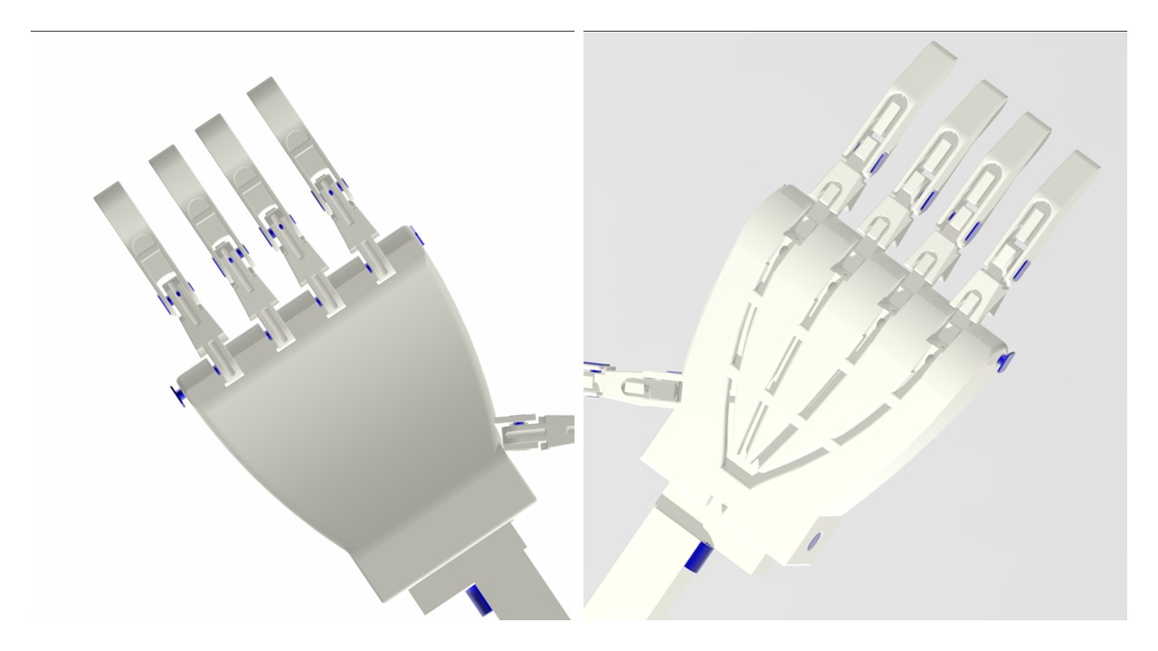Hand.jpg