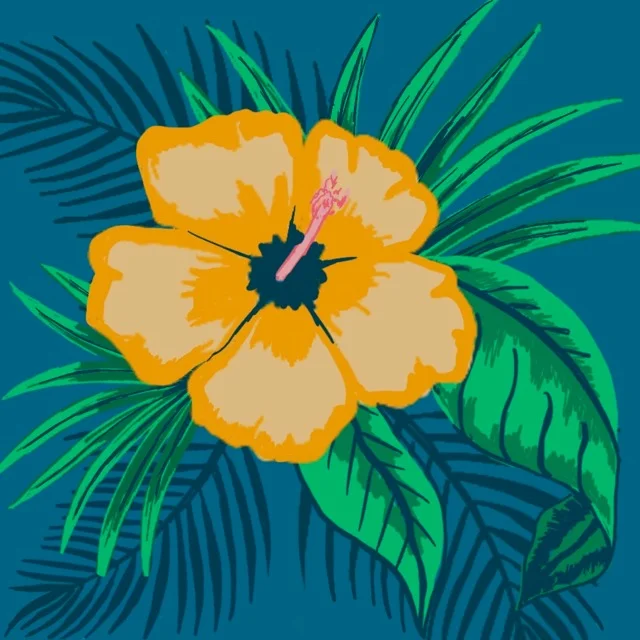 Haumea - detail