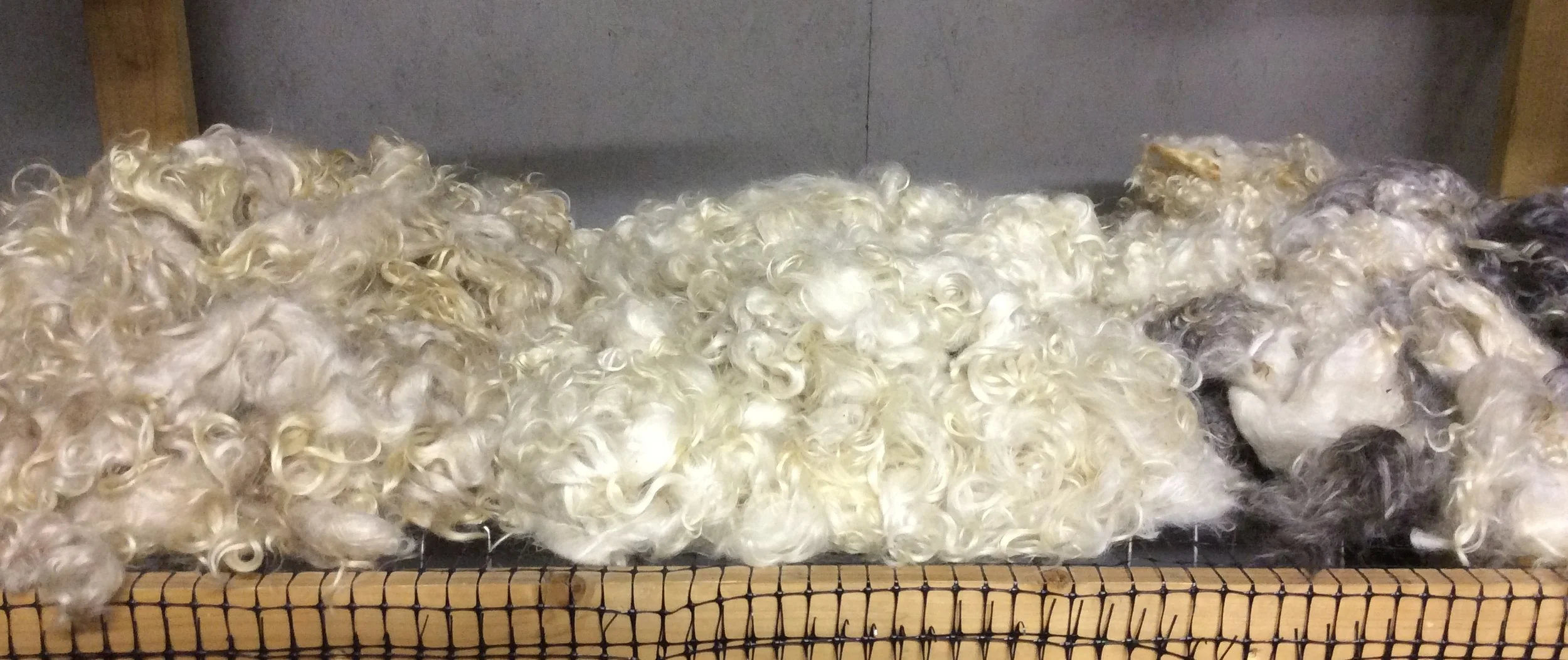 Washed mohair fleece