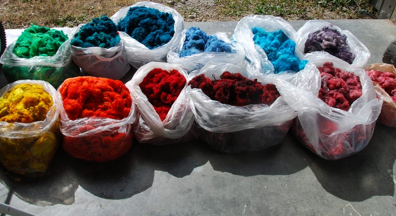 2010-10-10 - Bags of Icelandic wool Dyed ready for Roving.jpg