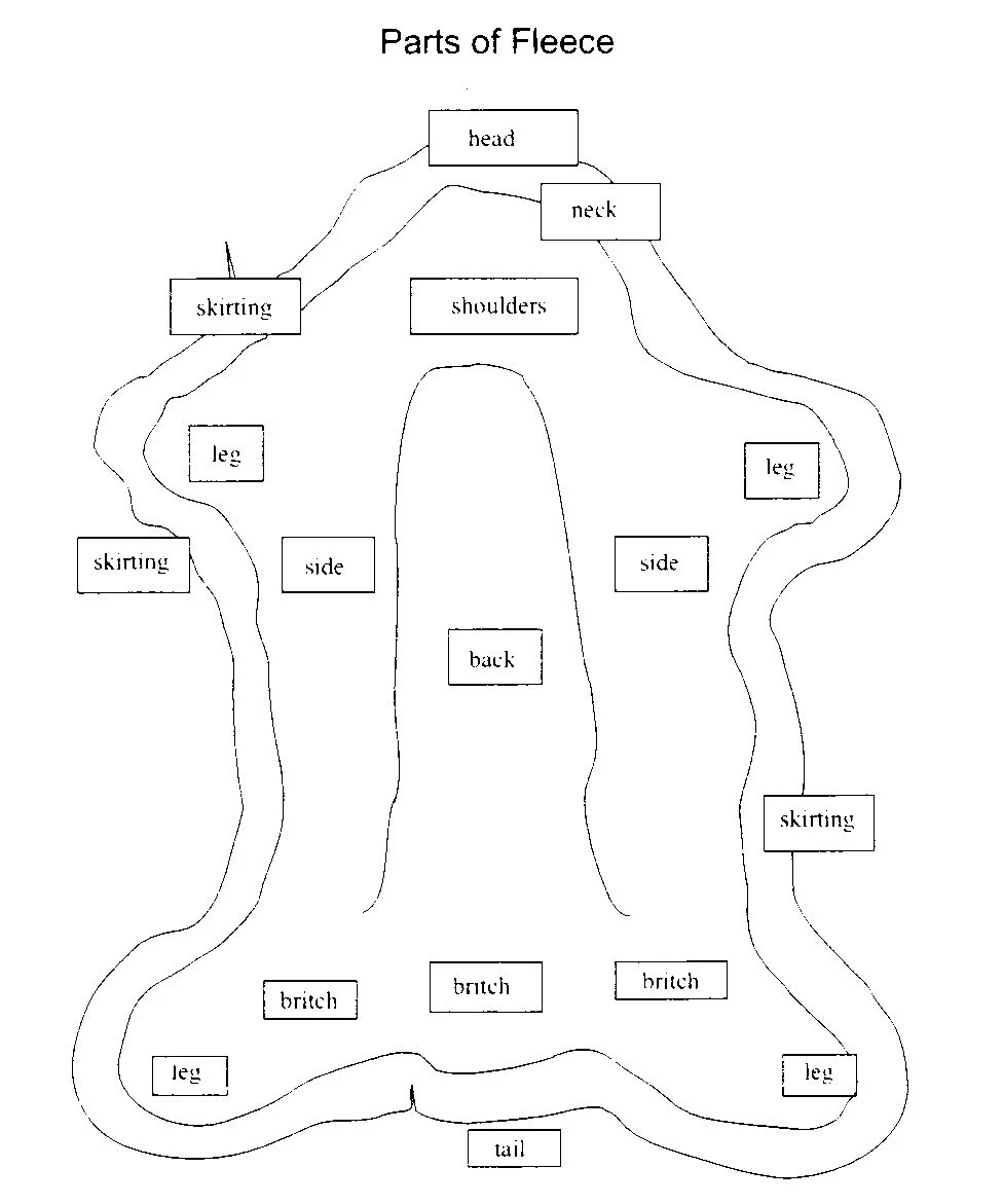 Parts of a Fleece