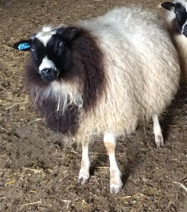 Bilbo- hey what are you doing?