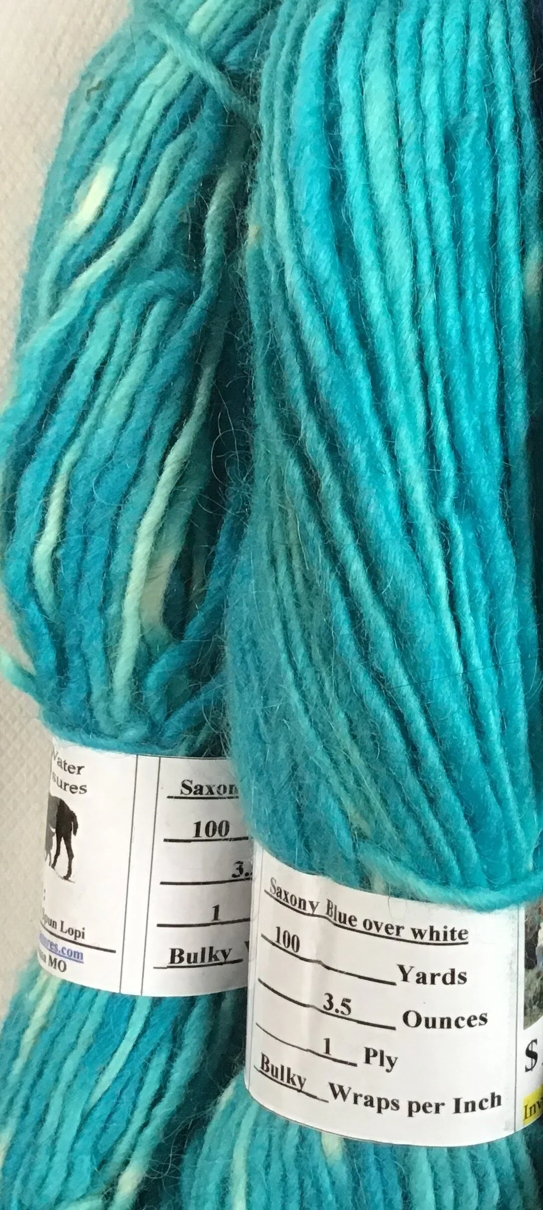 2020 - Yarn - Lopi - Saxony Blue over white 1.JPG