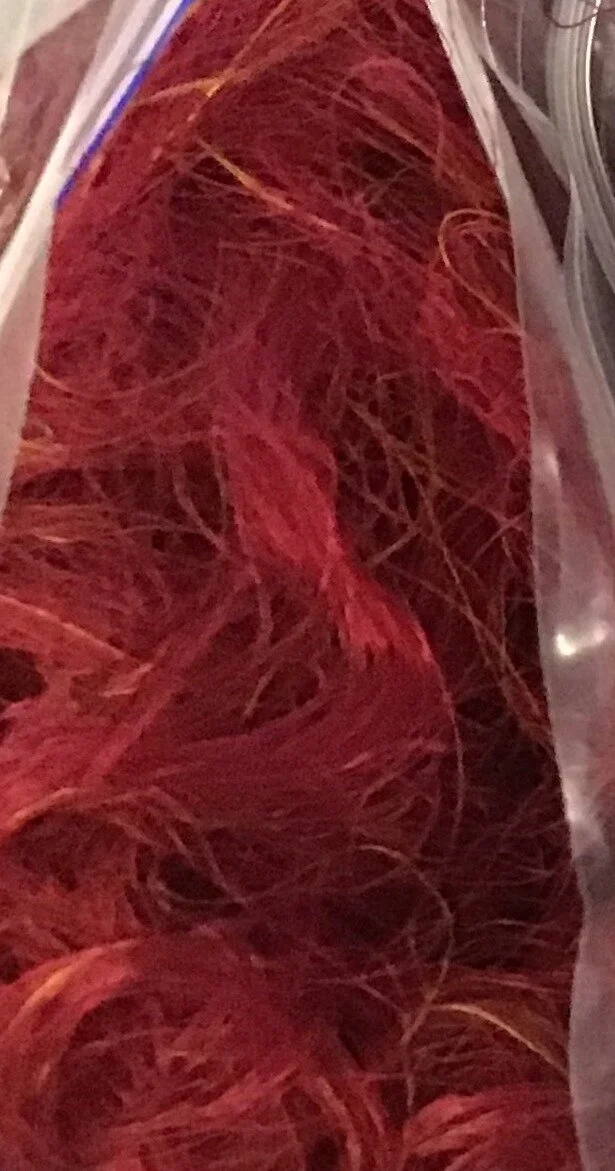 2020 - Sari thrums - 1 red.JPG