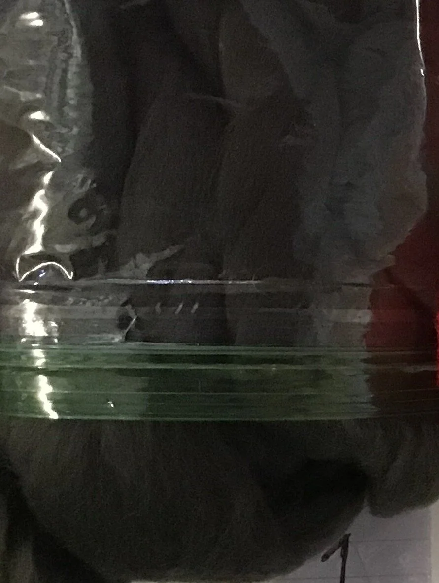 2020 - Roving Merino 6 Charcoal.JPG