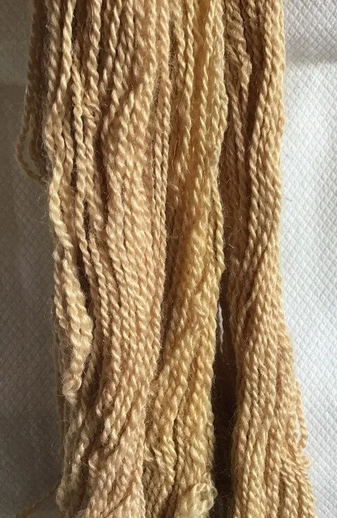 2020 - Yarn - Natural Dyed - 6224 - 1.JPG