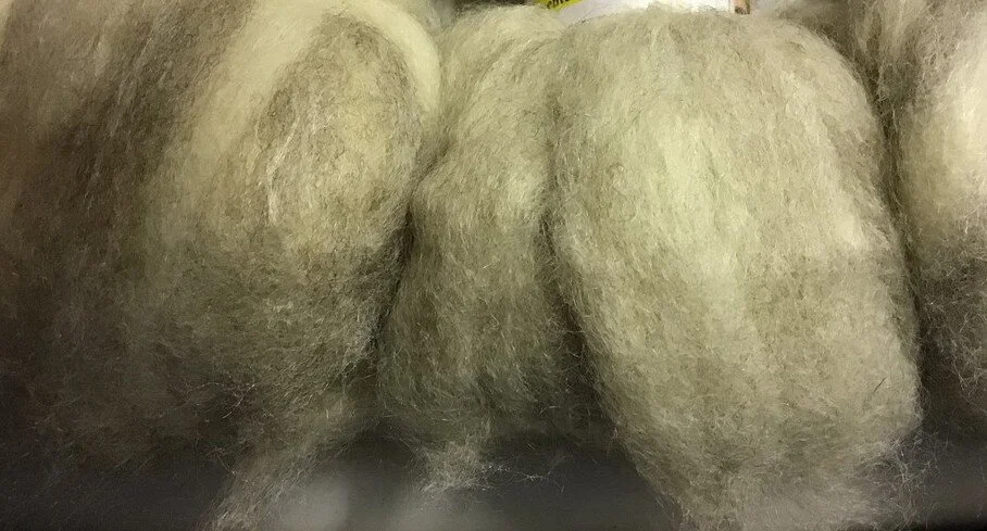2020 - Roving BFL-Silk - Natural 2.JPG
