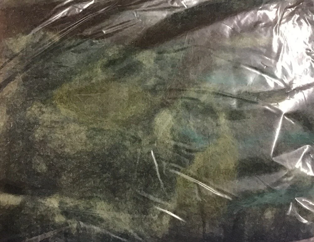 2020-Prefelt 977122 - 2.JPG