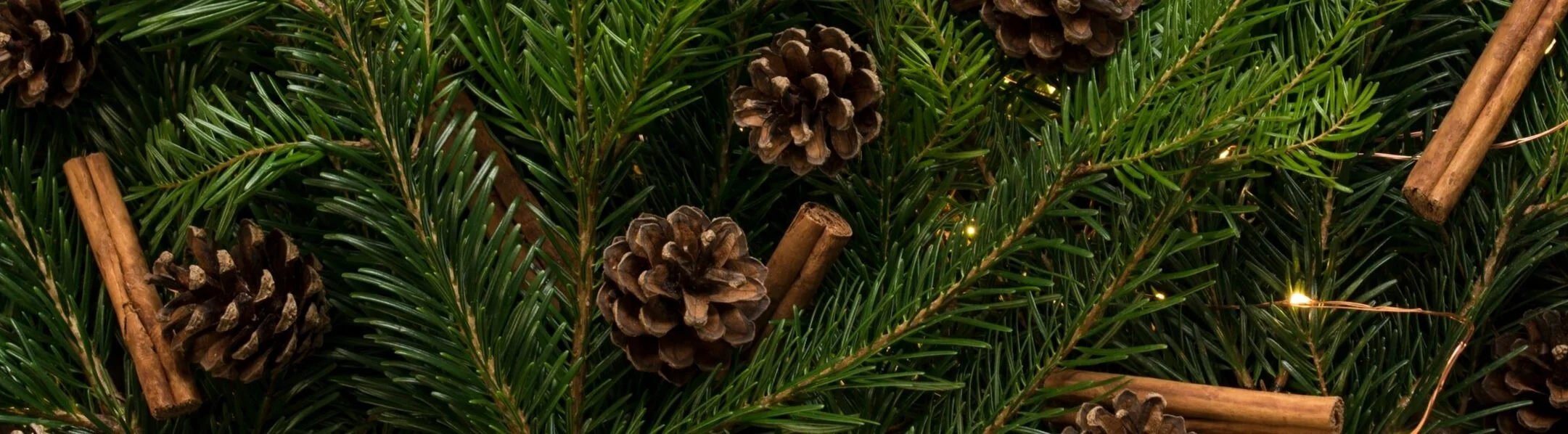 Happy Holidays from Blank Label