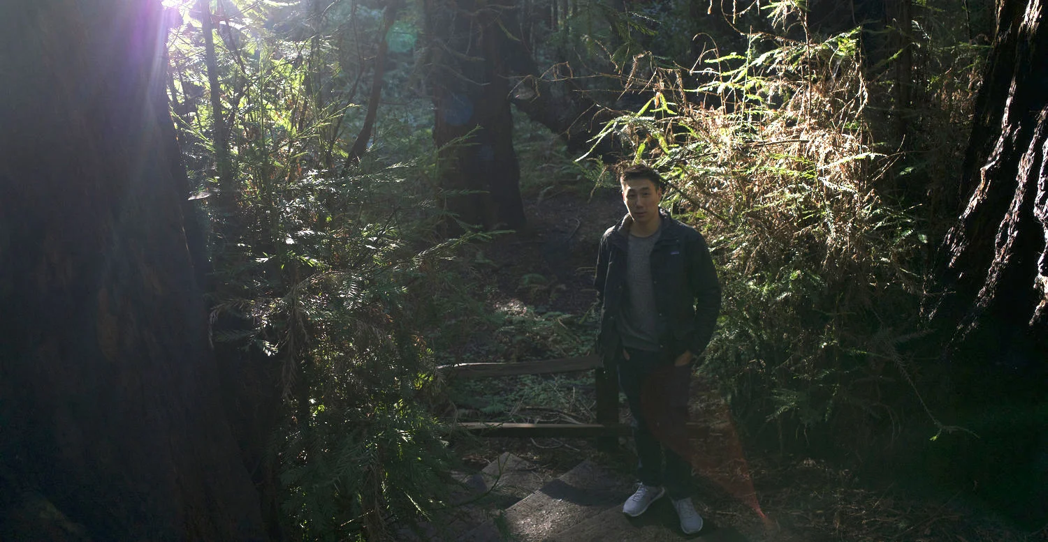 At Muir Woods 