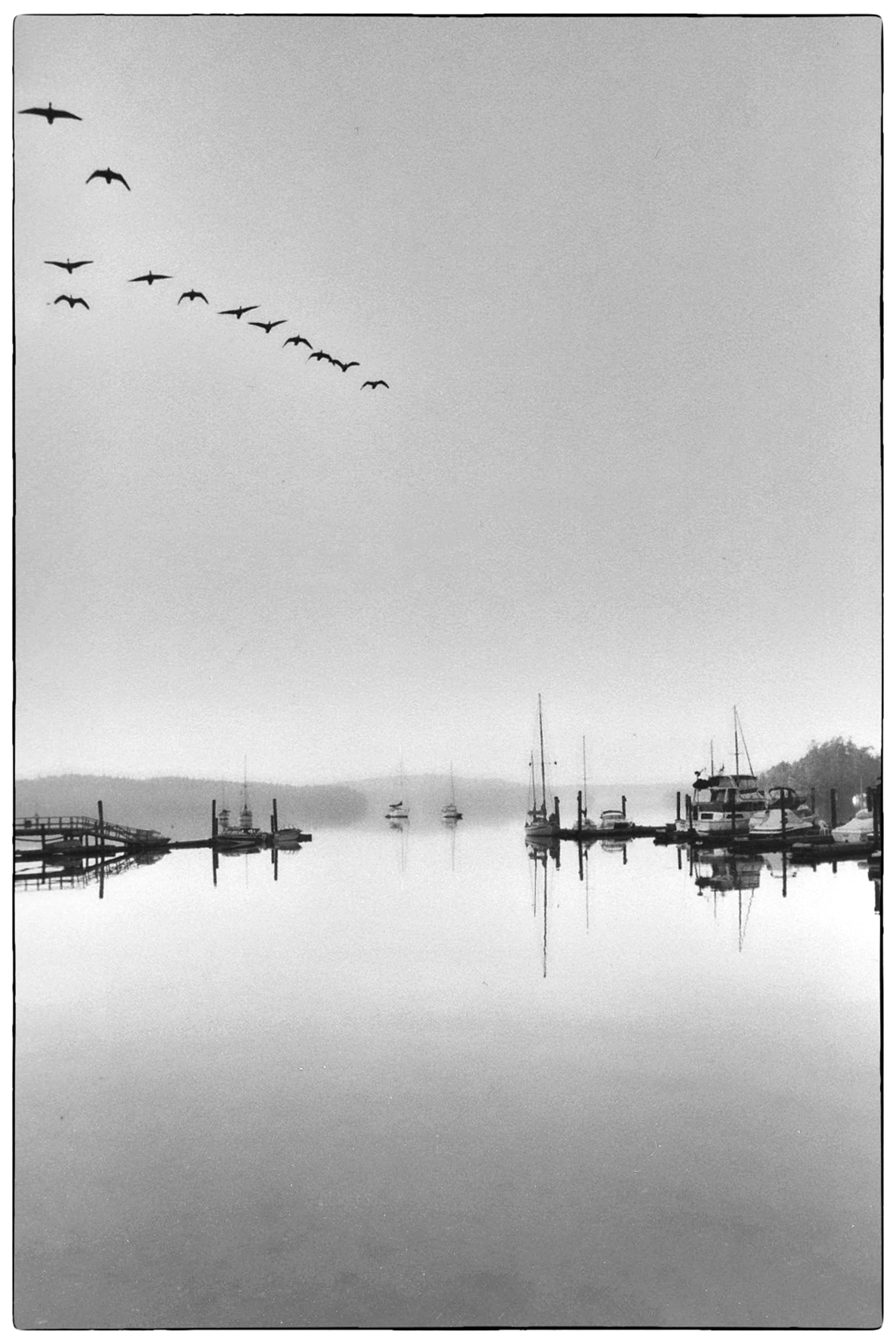 Roche Harbor, Washington, early 1980's. Nikon F2, 55mm Micro-Nikkor, Kodak Plus-X