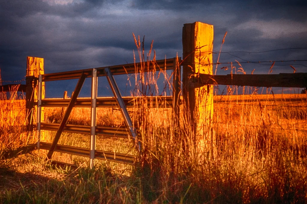 Storm's Coming, Salem, Oregon