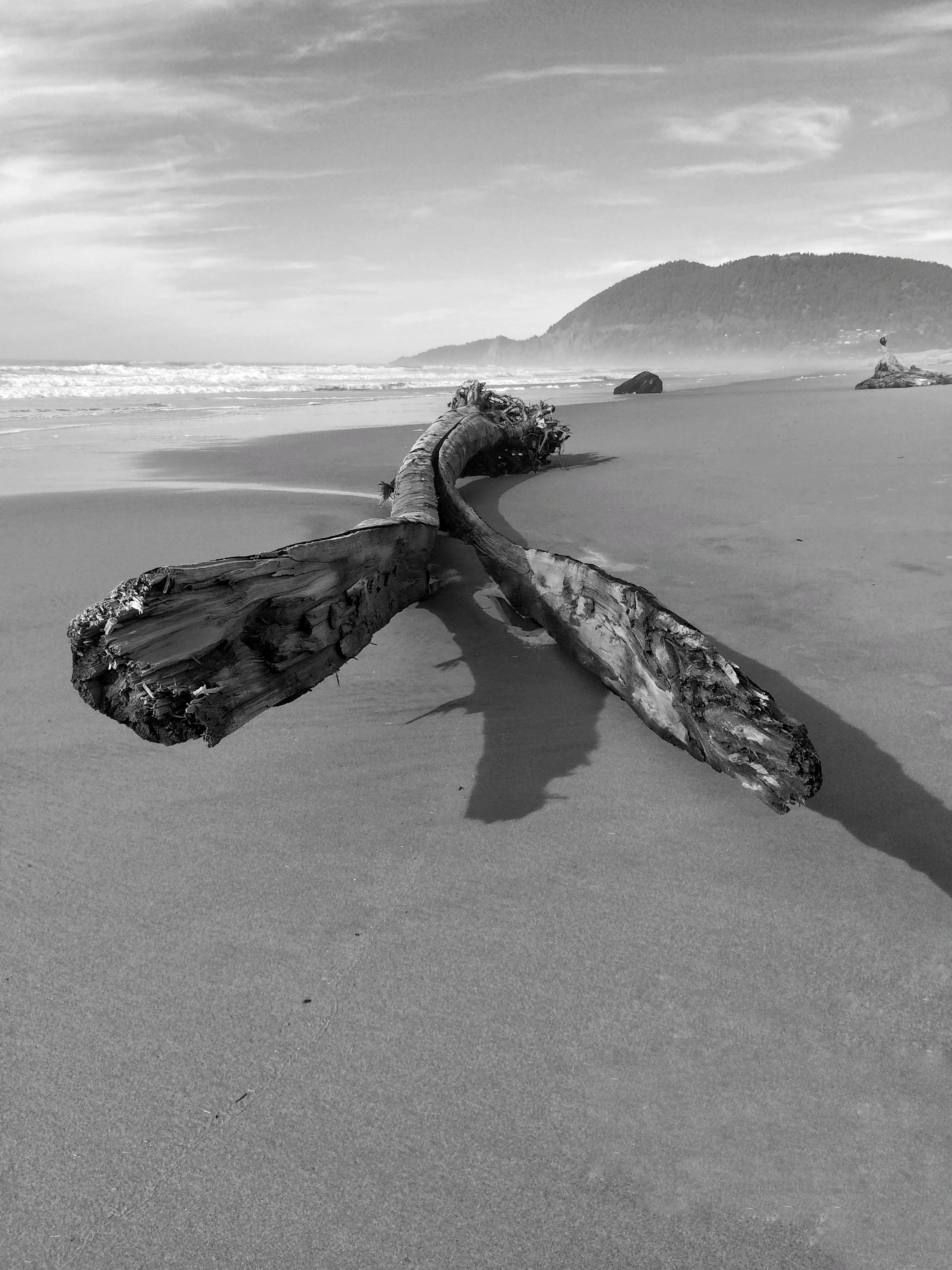Split, Manzanita Beach, Oregon