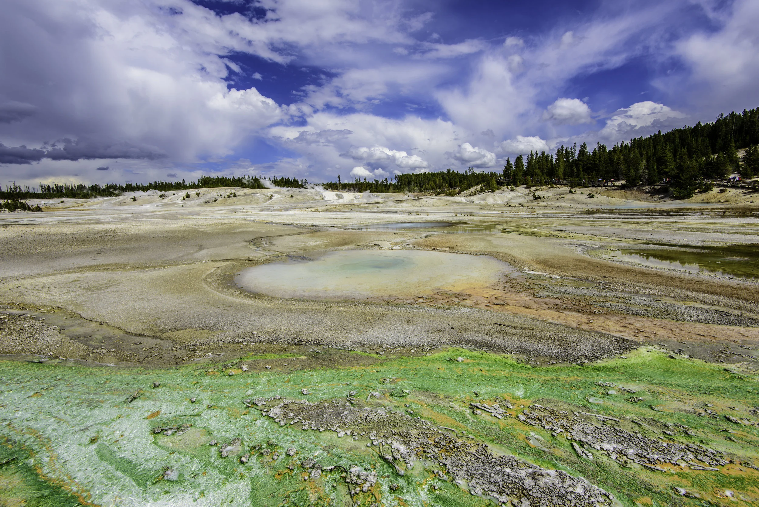 Norris Geyser Basin, Yellowstone National Park