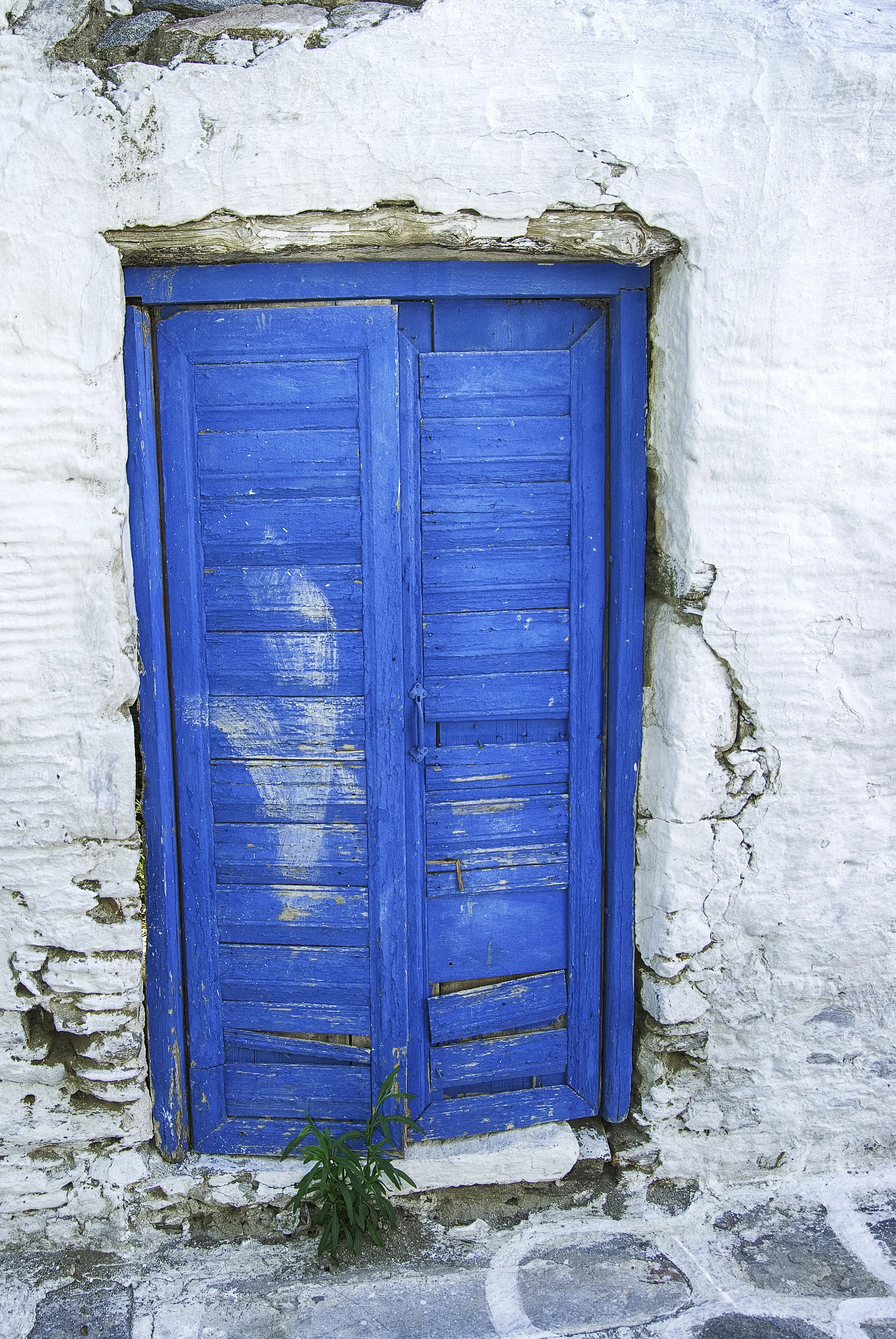 Blue on White #2. Exhibited at Darkroom Gallery show Blue, 2014