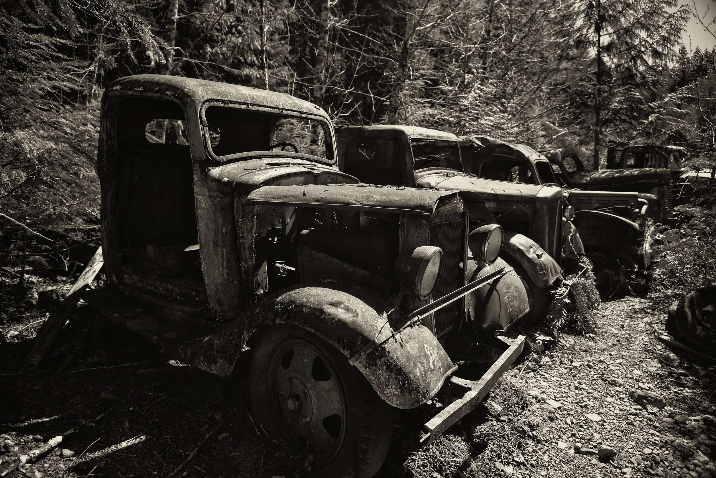 Trucks, Opal Creek Wilderness, Oregon