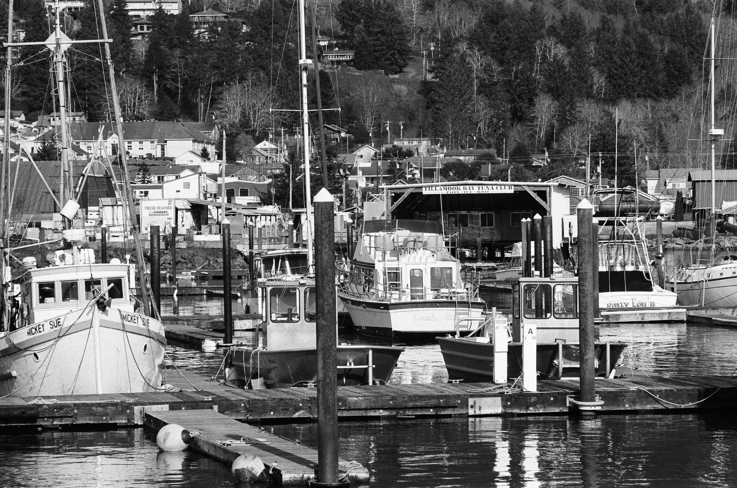 Garibaldi Fishing Fleet, Oregon