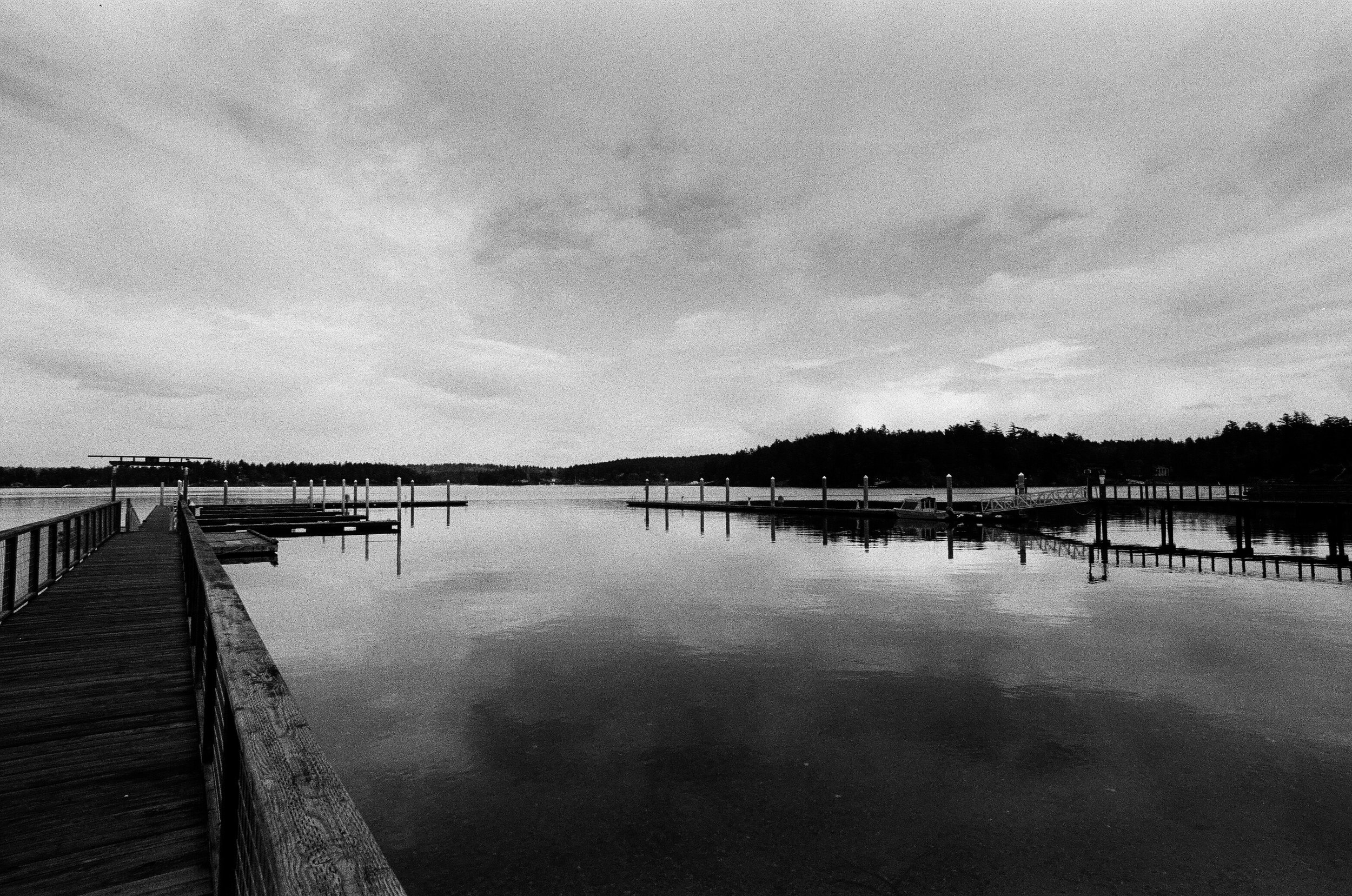 Henry Island, Washington. Ilford HP5+