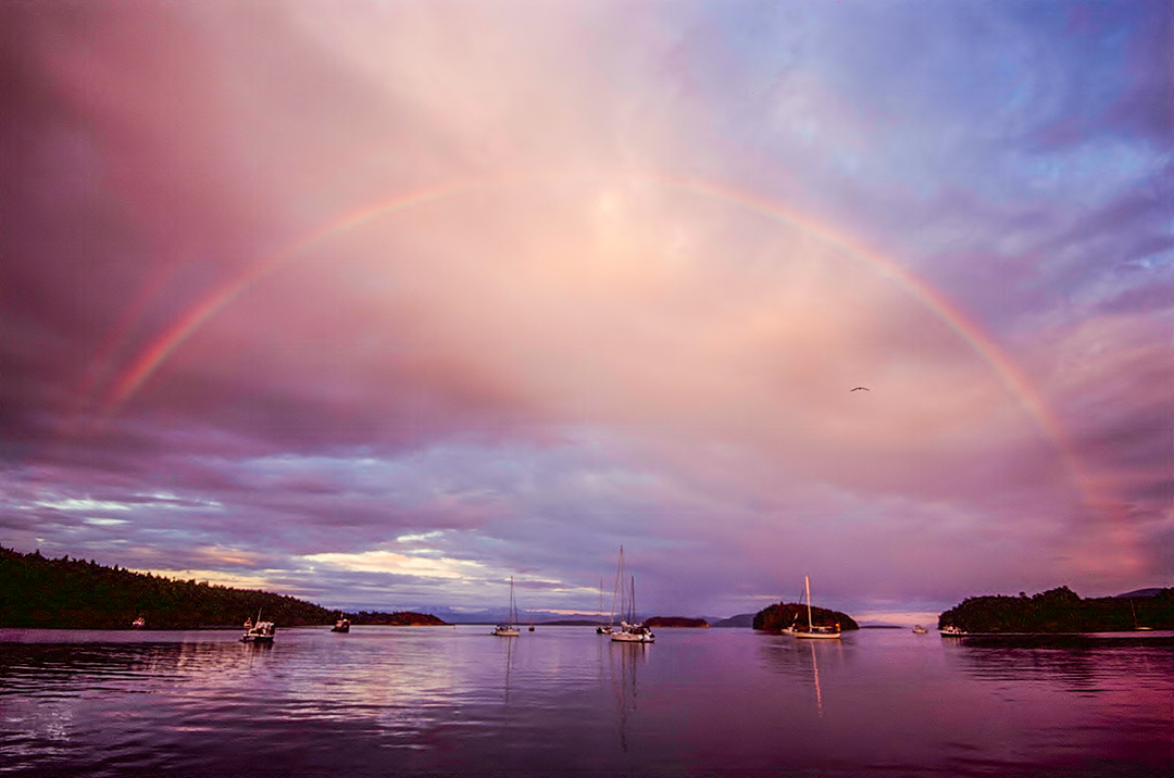 Sucia Island, Washington. Fuji Provia RDP 100f