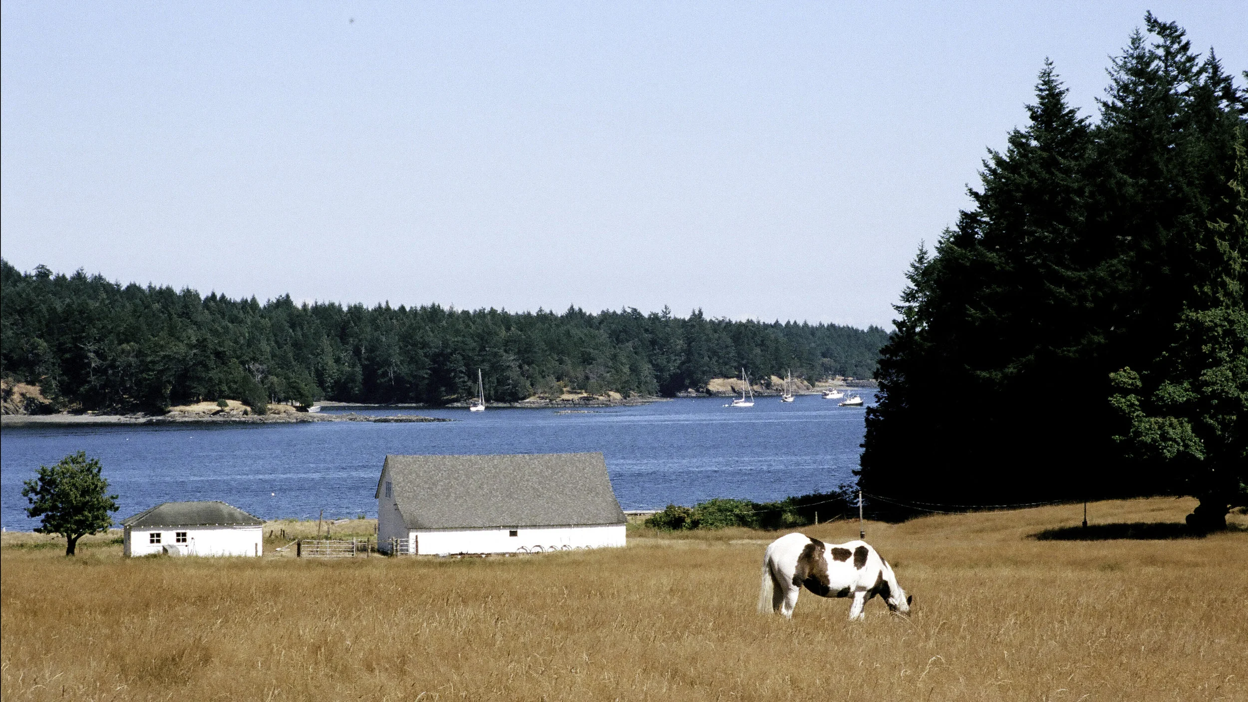 Prevost Harbor Farm.jpg