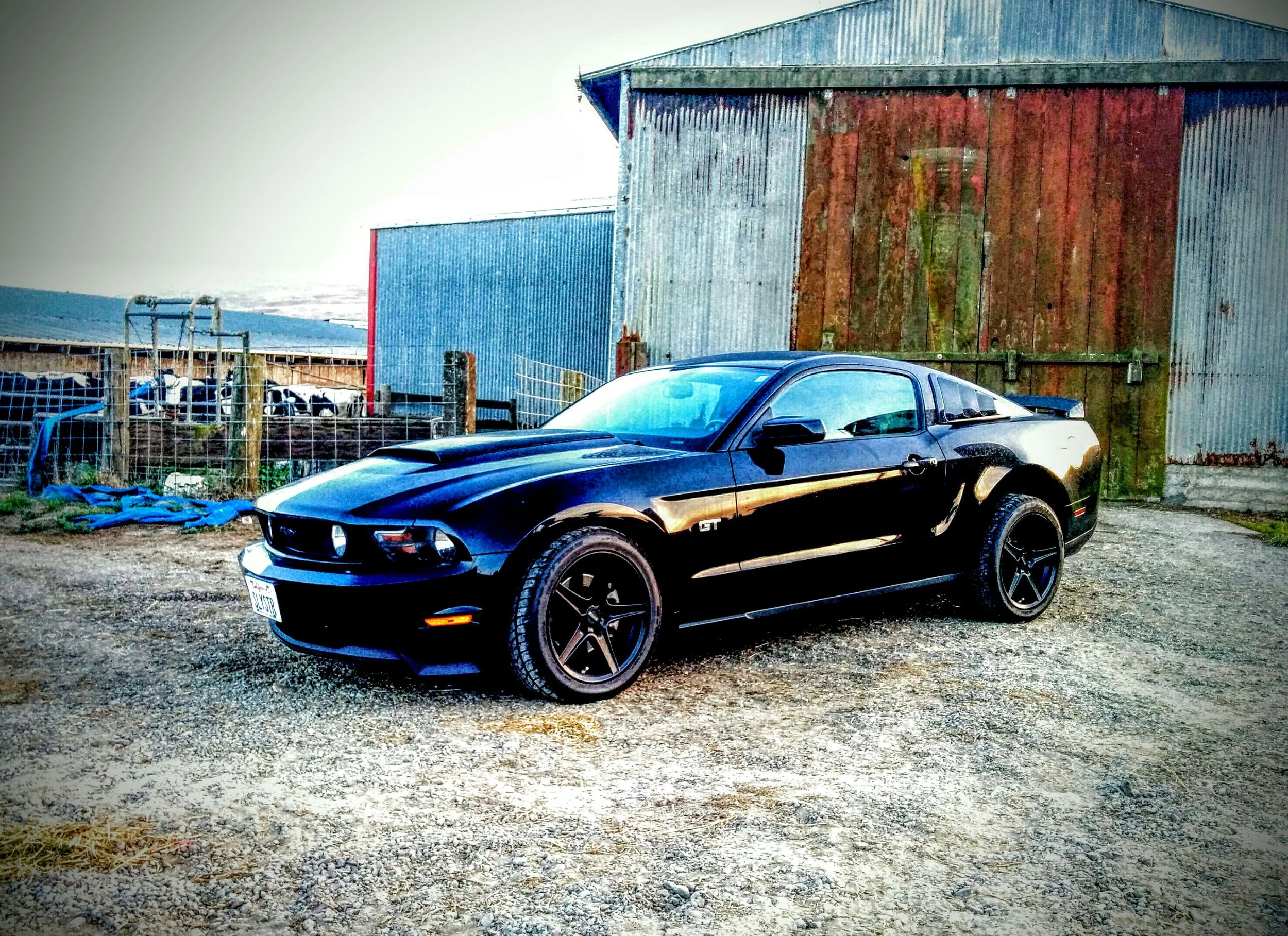 IMG_20151025_175814_edit-5.jpg