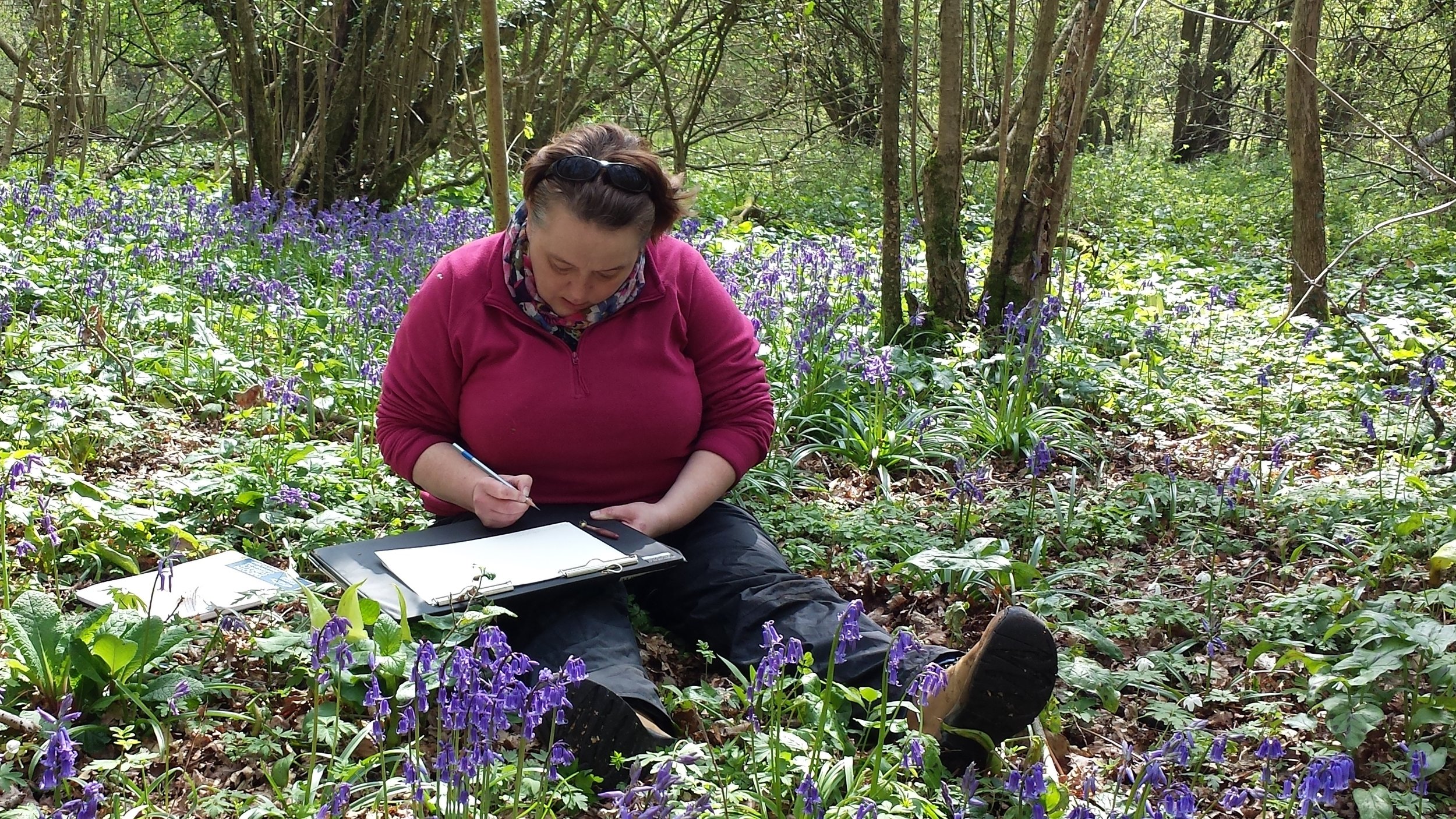 British botanical artist Sarah Morrish, studying native bluebells. Photo courtesy Sarah Morrish.