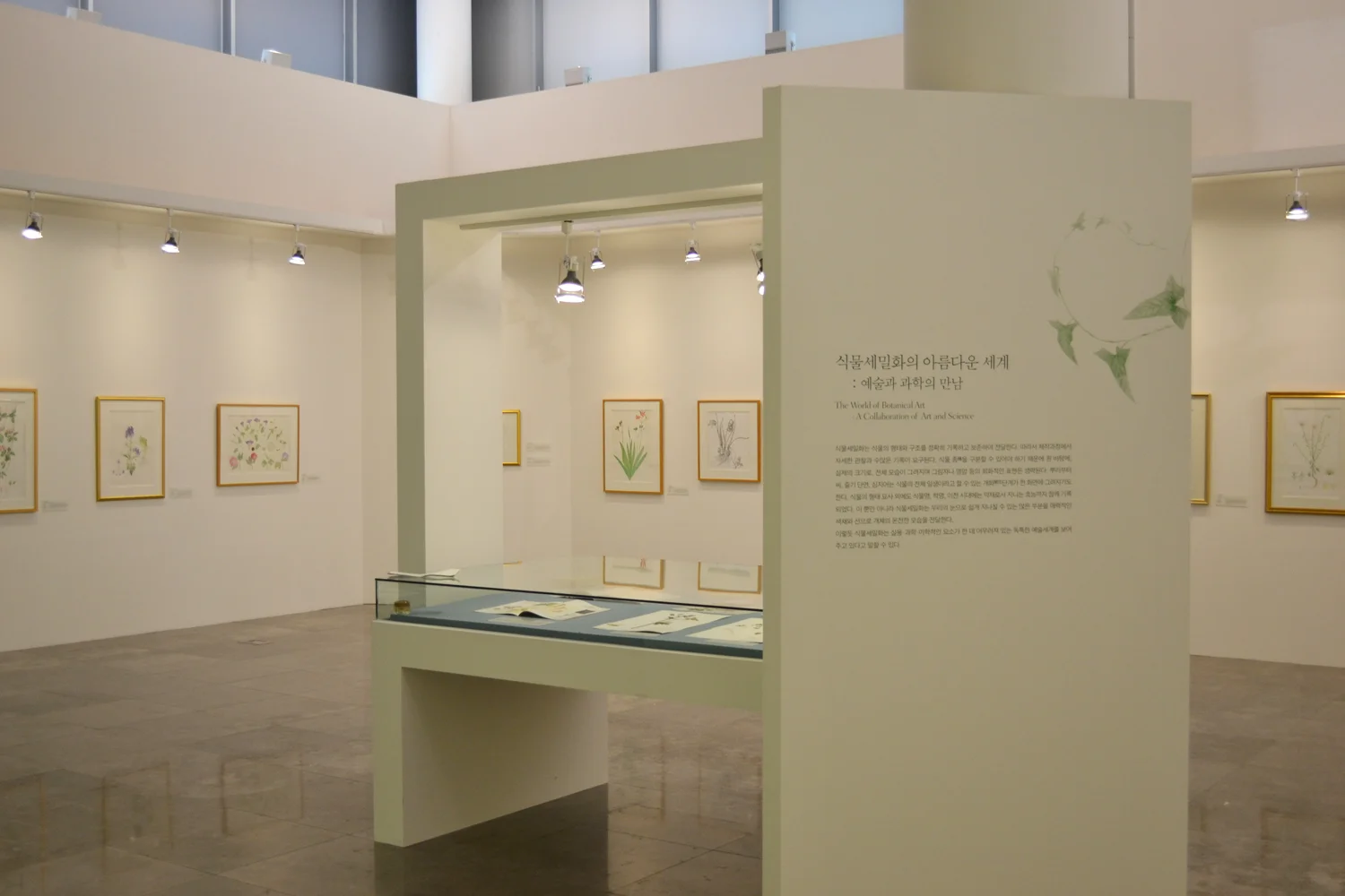 Cheonggaecheon Museum. Exhibition of the Korean Society of Botanical Illustrators, The World of Botanical Art, A Collaboration of Art and Science. Courtesy Jee-Yeon Koo.