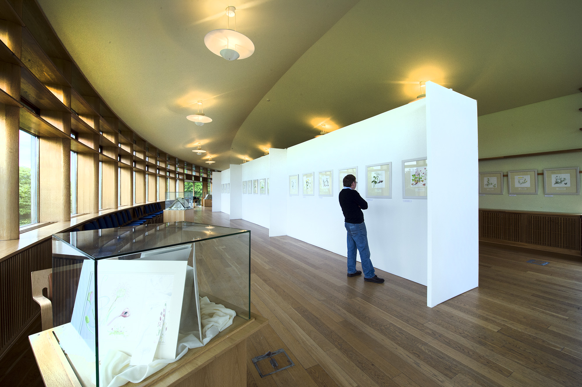 ©Bernard van Geissen, previous ISBA exhibition on view at National Botanic Gardens, Dublin.