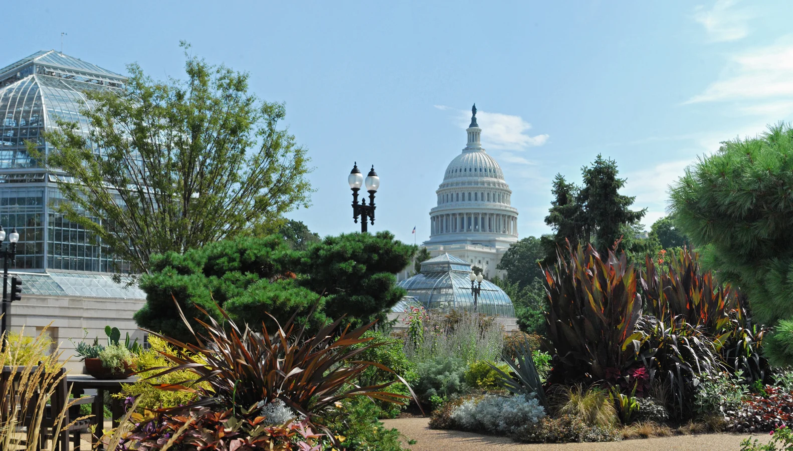 U.S. Botanic Garden Conservatory with view of the U.S. Capitol. Photo courtesy U.S. Botanic Garden