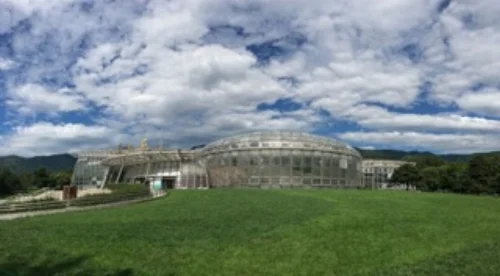 Conservatory - Photo courtesy Ms. Wang Xin
