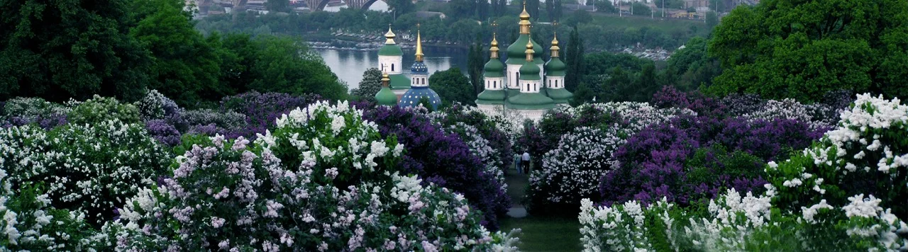 Photo courtesy M.M. Gryshko National Botanical Garden of NAS of Ukraine